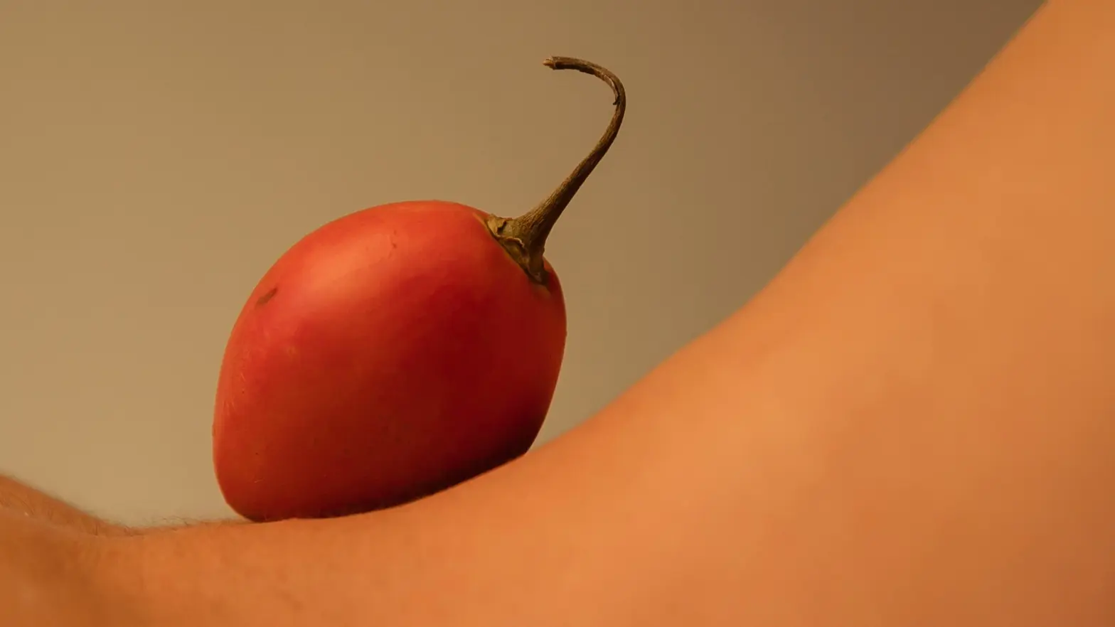 How to Start a Porn Company? Must-Know Tips for 2025
